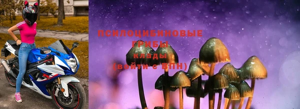 амф Зерноград