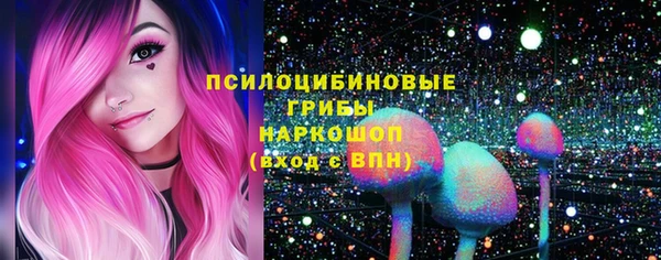 амф Зерноград