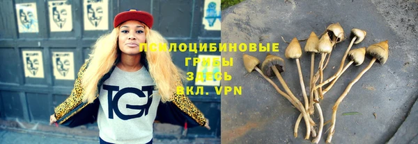 амф Зерноград