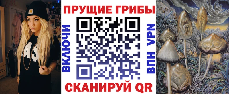 Купить где  Усть-Илимск  Псилоцибиновые грибы мухоморы 